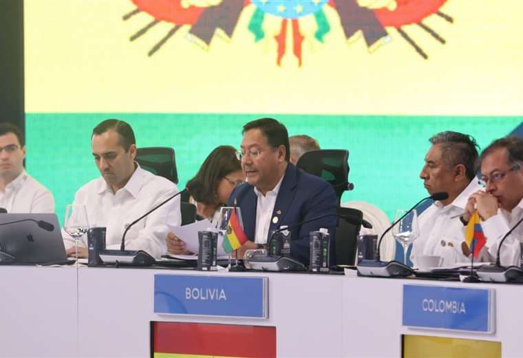 Bolivia participa en la Cumbre Iberamericana de Santo Domingo/Foto: Presidencia
