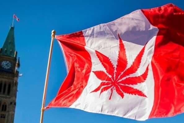 Canadá avanza un paso más en la legalización de drogas