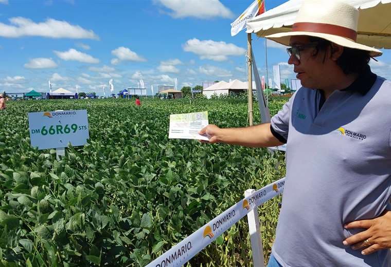 Muestra de variedades de soya en la Exposoya 2023. Foto: Anapo