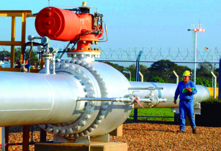 Petrobras espera que Bolivia y Argentina le vendan gas
