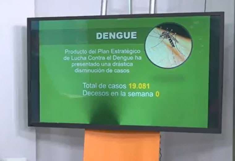 Datos del dengue presentados por el Ministerio de Salud.