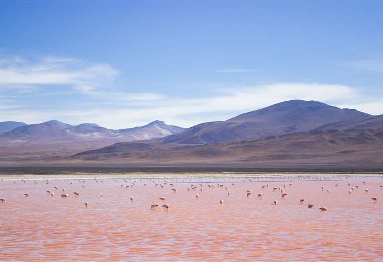 Bolivia cuneta con una gran diversidad de destinos turísticos maravillosos