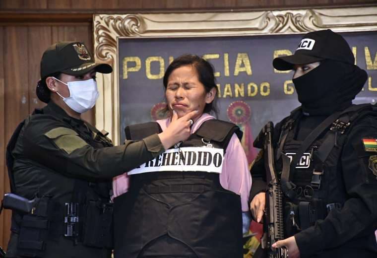 Elizabeth Mamani Calle fue condenada a 30 años de prisión/Foto: Ministerio de Gobierno