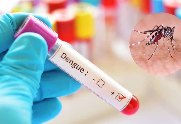 Se disparan los casos de dengue en Santa Cruz. Foto: Shutterstock