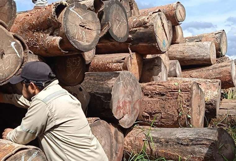 Operativo en San Ignacio logra el decomiso de madera preciosa valuada en Bs 75.000 