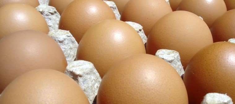 Producción de huevo es normal y Defensa del Consumidor responsabiliza a intermediarios por especulación en el precio