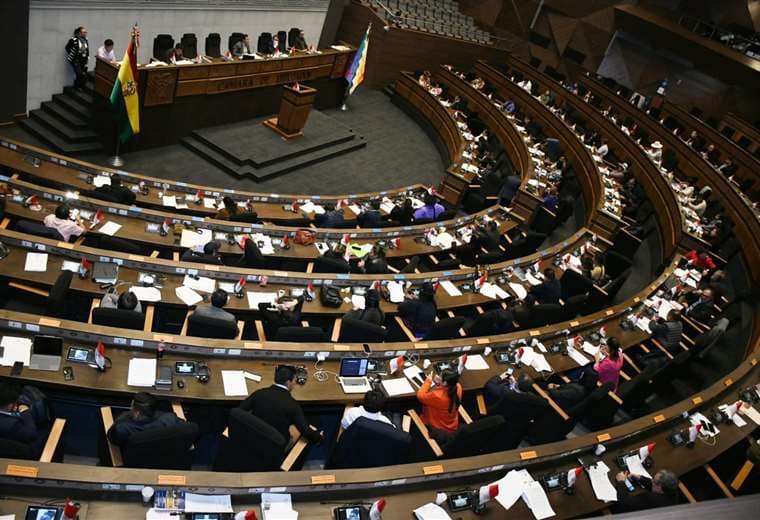 Asamblea Legislativa Plurinacional/Foto: APG