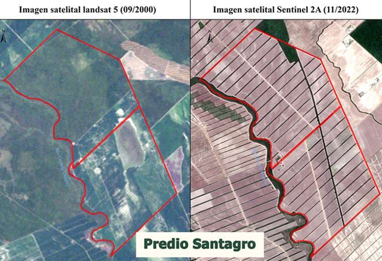La imagen muestra el área afectada por el desmonte/Foto: Fundación Tierra