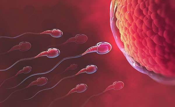 La infertilidad afecta a una de cada seis personas en el mundo, según la OMS