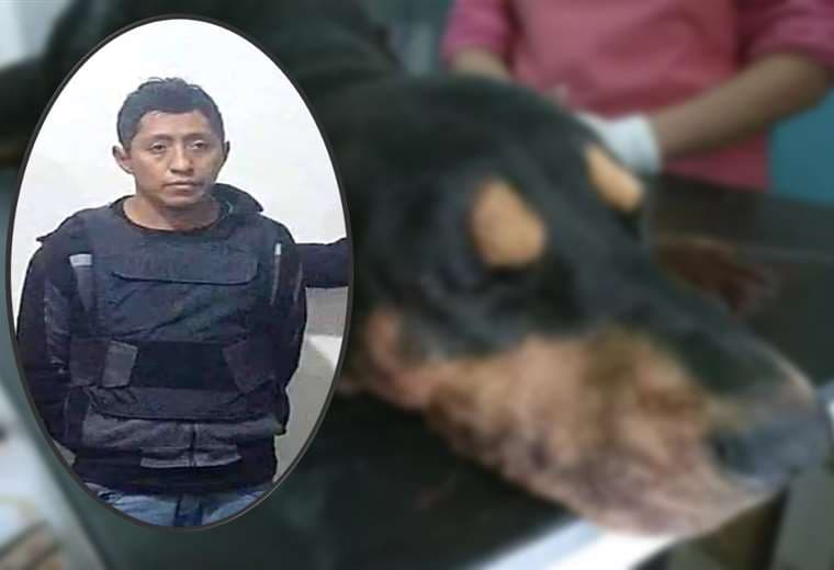 Hombre que mató a machetazos a un perro es sentenciado a cuatro años de cárcel por biocidio