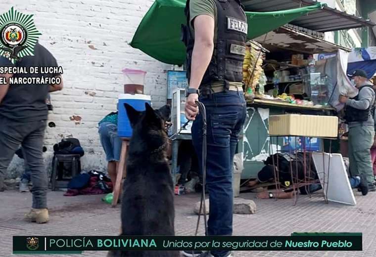 Agentes antinarcóticos y canes adiestrados encontraron a los traficantes/Foto: Felcn