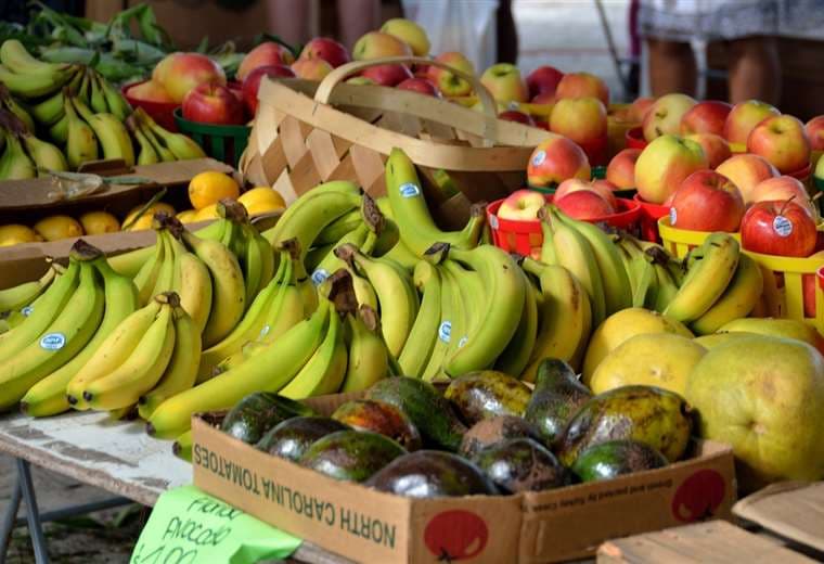 Cochabamba ocupa el segundo lugar en exportación de alimentos