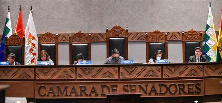 Oposición obliga a suspender sesión del Senado para acordar ley corta que pretendía imponer el MAS