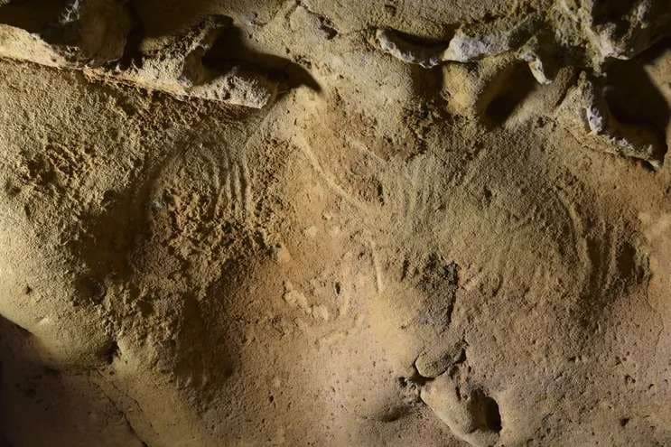 Hallan en Francia grabados de Neandertal, potencialmente los más antiguos de Europa