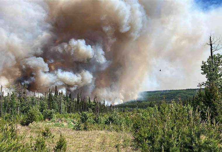 Incendios en Canadá /Foto: AFP