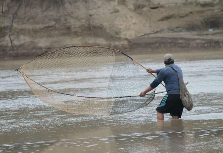 Alertan disminución del sábalo y proponen veda pesquera en el Pilcomayo
