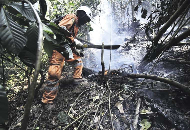 Bomberos forestales combaten el fuego