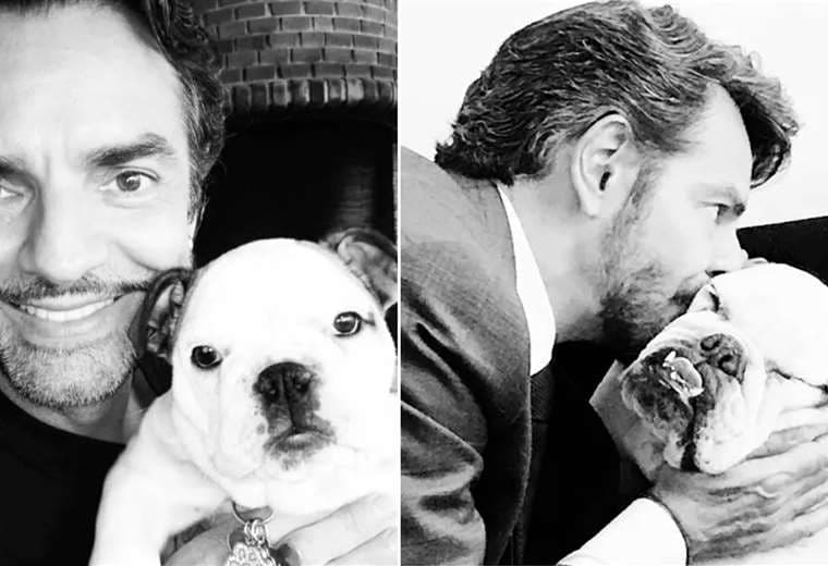 Eugenio Derbez y Fiona, de raza bulldog, fueron amigos inseparables