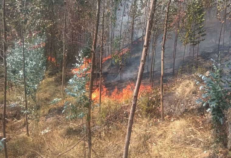 El fuego descontrolado genera preocupación en el municipio de Quime 