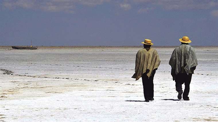 Los urus son las más afectados por la sequía en el lago Poopó/AFP
