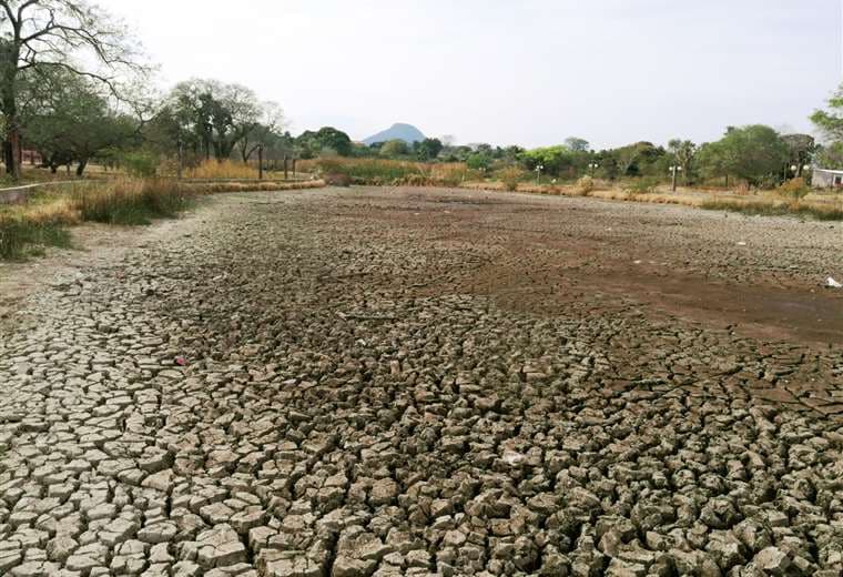 El espejo de agua del Parque Ecológico "Pauroca" ha desaparecido