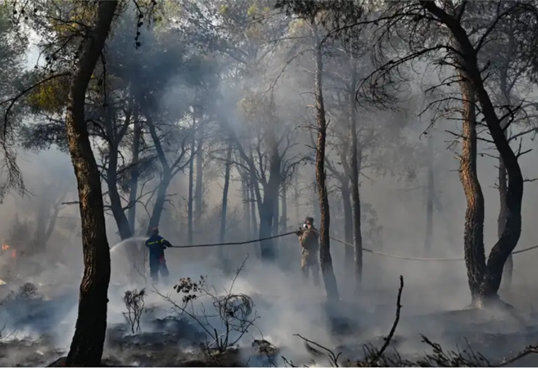 Incendios forestales. Imagen: Nicolas Koutsokostas