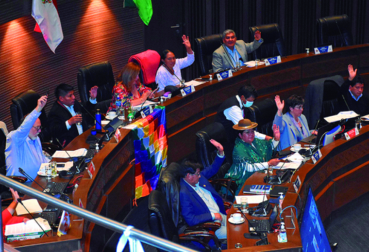 Senado aprueba ley para celebrar las elecciones del Órgano Judicial