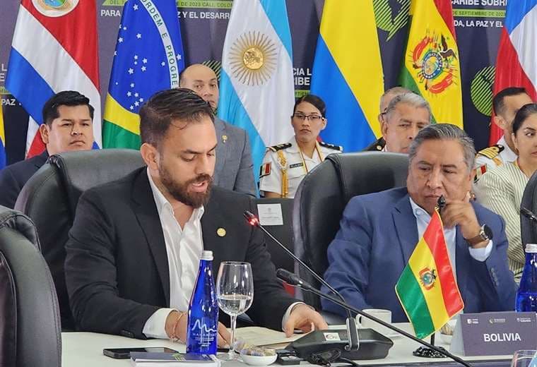 Bolivia quiere "enmendar un error histórico" y desclasificar la coca 