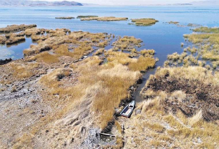 En otro sector del lago Titicaca se muestran los efectos de la sequía
