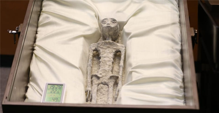 Este es uno de los cuerpos “no humano” encontrado en Perú. Foto. Internet 