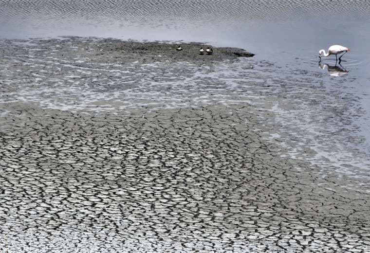 La sequía en Bolivia. Foto de archivo: AFP.