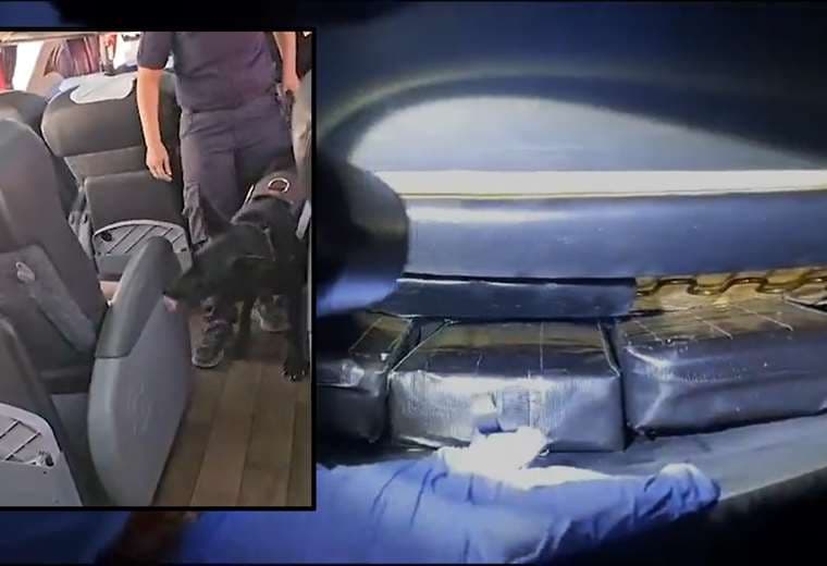 'Tyson', un can antidrogas halló 7 kilos de cocaína ocultos en los asientos de un bus
