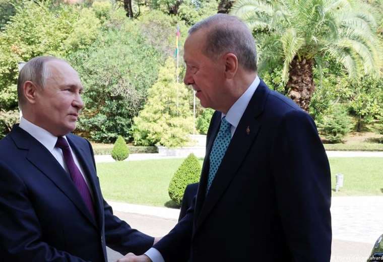 Erdogan apuesta por anuncio "muy importante" sobre granos tras reunión con Putin