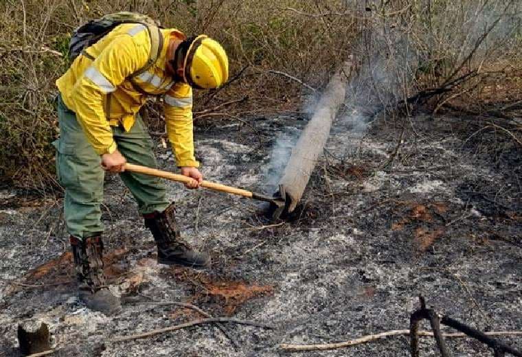 Bombero forestal trabaja en la sofocación de un incendio en San José/GADSCZ