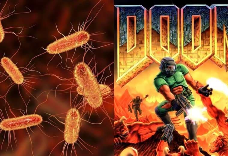 Una científica logra que Doom ‘corra’ a través de bacterias intestinales