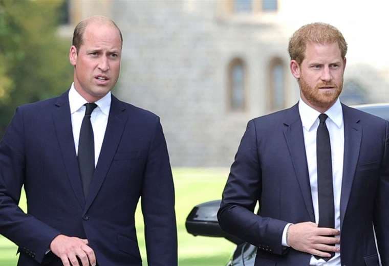 ¿Celos entre los príncipes William y Harry?