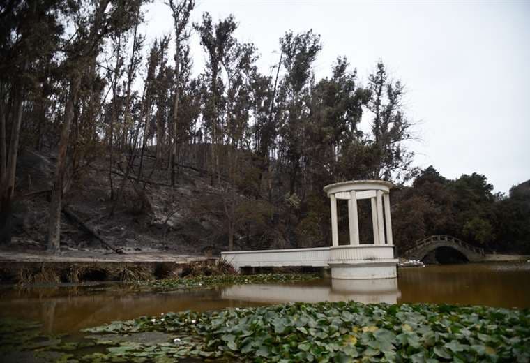 Jardín Botánico Nacional de Viña del Mar luego de los incendios / Foto: AFP