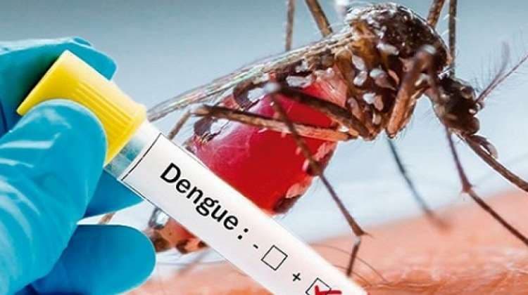 Activan alerta naranja por aumento de casos de dengue en Tarija