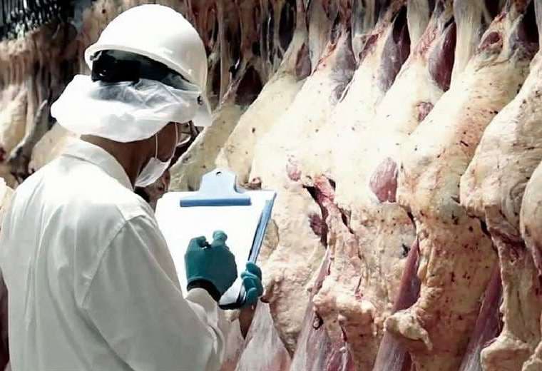 Bolivia vende carne a China, Rusia, Perú y Ecuador/Foto: EL DEBER 