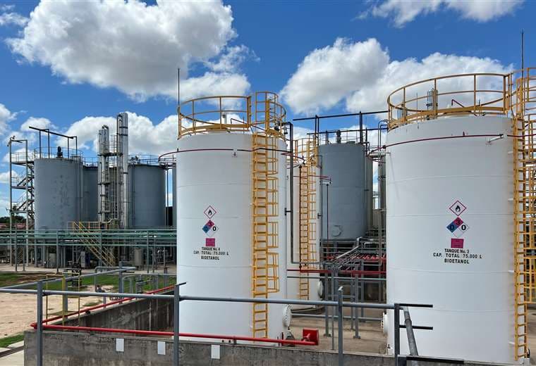 Etanol de sorgo, el biocombustible del futuro en Bolivia, impulsado por Granosol